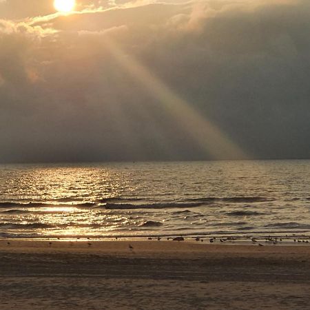 Scheveningen Sea Side Bed & Breakfast The Hague Exterior photo